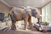 Elephant Themed Bathroom