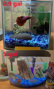 Last Week I Bought A Betta With No Prior Knowledge Of Owning A Fish I Got Him A 0 9 Gallon Tank W No Heater Filter Found This Sub And Realized That It Was