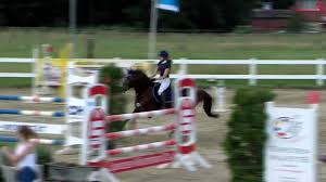 Photogrfieren und das photodesign wurde eigens erlernt und die ergebnisse werden hier geteilt. Clipmyhorse Tv Deutschland Liaundalfi Auf Dem Springturnier In Warendorf Facebook
