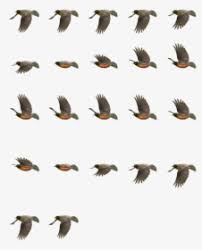 Return Of The Animated Gif 2d Bird Flying Animation Hd Png Download Transparent Png Image Pngitem Choose what color you want to convert to transparent pixels, in this case it's white if you want to make transparent some parts of complex animation with many colors in them, you will need to split the gif, edit each frame seperately and join them back. 2d bird flying animation hd png