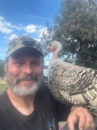 Seeing many turkeys in Sonora, CA