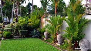 Discover exceptional plants to grow in your 2021 garden. Garden Design Sri Lanka Dunia Belajar 9