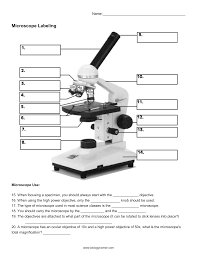 We did not find results for: Microscope Parts Labeling Worksheet