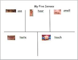 Five Senses Chart