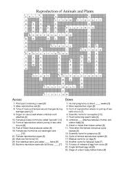Choose from 363 different sets of vocab puzzle biology crossword mendelian genetics flashcards on quizlet.pdf molecular genetics review crossword answers. Cell Reproduction Crossword Lesson Plans Worksheets