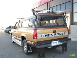 Image result for Light Driftwood 1989 GM