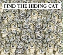 Entrenar tu cerebro no tiene que ser una tarea difícil. Puedes Encontrar Al Gato En Esta Imagen El Reto Que Pondra A Prueba Tu Agudeza Visual Encuentra Al Gato Acertijos Visuales Figuras Escondidas