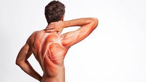 General manager of madison healthstyle and chiropractor, dr adam can be found on selected shifts only at present. Chiropractor Nerang Gold Coast Hinterland Chiropractic