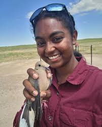 Texas Parks and Wildlife