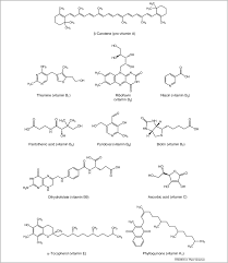 We did not find results for: Vitamins In Plants Occurrence Biosynthesis And Antioxidant Function Trends In Plant Science
