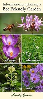 We did not find results for: 50 Flowers To Grow In A Bee Friendly Garden Honey Bee Garden Bee Friendly Garden Bee Friendly Plants