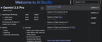 手把手教你使用Gemini 2.5 Pro 免费API搭建本地知识库，一键接入 ...