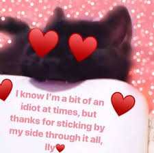 Pin By Sarah On Uwu In 2020 Cute Love Memes Cute Memes Funny Relatable Memes