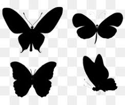 free download butterfly black and white png cleanpng kisspng download butterfly black and white png