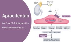 Image result for Aprocitentan