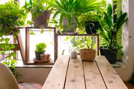 Garden room ideas march 22, 2014 over the years the custom colorado garden greenhouse has significantly evolved, garden room ideas are becoming more and more popular. How To Start An Indoor Garden Room