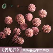 Just add some dried flowers, ferns garland branches to make it a beautiful and vibrant centerpiece. Small Dried Flower Bouquet Real Flower Dried Flower Small Bouquet Mini Dried Flower Real Flower Living Room Home Furnishings Small Fresh