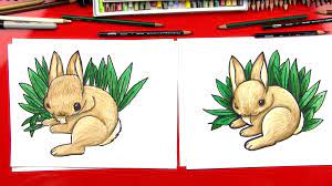 There will be no late admission to classes as it is a set term program that builds each week on the previous week's learning. How To Draw A Realistic Bunny Art For Kids Hub