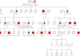 Haemophilia Pedigree Chart Royal Family Bedowntowndaytona Com