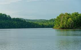 We did not find results for: 0 75 Acres Clifton Tn Property Id 9598884 Land And Farm