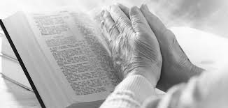 The Marion Catholic Community