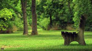 Eye Relaxing Wallpapers Top Free Eye Relaxing Backgrounds Wallpaperaccess Download and use 10,000+ relaxing desktop wallpaper stock photos for free. eye relaxing wallpapers top free eye
