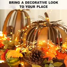Firefly Bunch Lights Bunch Diygardenbox Diygardendecordollarstores Diygardenlandscap Affordable Christmas Decorations Fairy Lights Bottles Decoration
