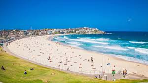 What's your favorite bondi song. Fun Interesting Facts About Bondi Beach Bondi Need To Know Info