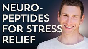 Unlock Motivation & Reduce Stress with Neuropeptides