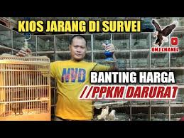 Scopri ricette, idee per la casa, consigli di stile e altre idee da provare. Harga Burung Jalak Taiwan Kacer Murai Medan Cucak Ijo