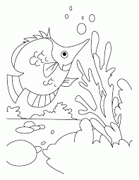 Kemmud sudsakorn/getty images after the common goldfish, betta fish, commonly referred to as s. Betta Fish Coloring Pages Free Coloring Pages Coloring Home