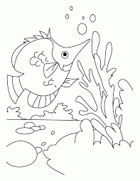 Find & download free graphic resources for betta fish. Betta Fish Coloring Pages Free Coloring Pages Coloring Home