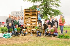 Wir zeigen wie es geht. Landgard Bienenstock Im Zukunftsmarkt Design Und Insektenhotel In Herongen Aufgestellt Landgard Neuigkeiten