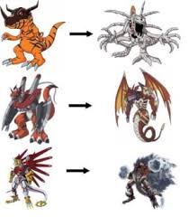 Matter Of Fact Agumon Evolution Line Digimon Unlimited