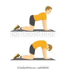 Both the cat and cow poses stretch the lower spine, hips, back and core muscles. Man Doing Cat Cow Exercise Back Stretch In The Gym Fitness And Healthy Lifestyle Flexible Body Isolated Vector Canstock