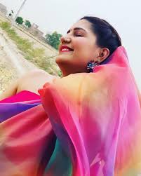Sapna Choudhary Latest Photo Shoot: सपना चौधरी के लेटेस्ट फोटोशूट ने मचाया  धमाल, देखें हरियाणवी क्वीन का स्टाइलिश अवतार!