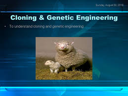 Genetic modification is carried out by gene transfer between species. Cloning Genetic Engineering Ppt Download