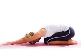 Cat Cow Marjariasana And Cat Wheel Yogauonline