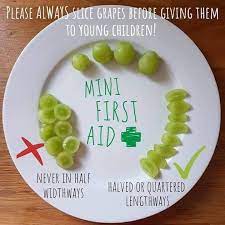 How to grow grapes from hardwood cuttings. Grapes It S A Well Known Fact That Whole Grapes Are A Dangerous Choking Hazard For Babies Toddlers And Young Children The Size And Shape Of Grapes Means That They Can Completely Plug