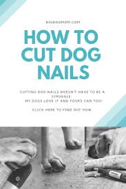 The amount of time between nail trims depends on how quickly your dog's nails grow and how quickly they are worn down. How To Cut Large Dog Nails And Have Your Dog Love It 7 Tips