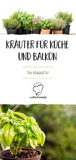 Feiert in ihrem grünen reich der kräutergarten premiere? So Klappt S Krauter Fur Kuche Und Balkon Basilikum Pflanzen Krauterpflanzen Pflanzen