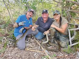 Soon to be seen on TV: Local python hunter to be in Swamp People TV show |  News, Sports, Jobs - Marietta Times
