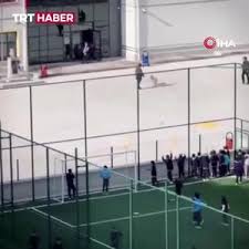 وحشت‌آفرینی سگ ولگرد در حیاط مدرسه