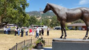 190 sanhedrin cir willits, ca 95490. Jean Barton Wolf Problem A Ride On The Skunk Train Red Bluff Daily News