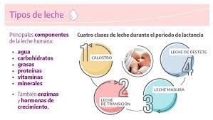 Caracteristicas De La Leche Materna Te Damos La Bienvenida A Ioma