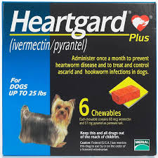 Heartgard unflavored (ivermectin) heartworm tablets for dogs help prevent canine heartworm disease in dogs. Heartgard Plus Chew Blue 0 11kg Prescription Needed Prescription Food