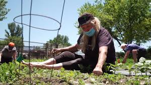 The knowledge that we are small and our seasons are brief. Why Gardening During Covid 19 Is Healing For The Mind Soul