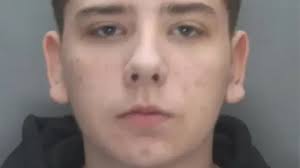 Daniel Gee-Jamieson death: Fight stab killer detained for 11 years