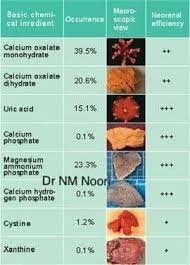 Pin By Babugopal On Plants Preventing Kidney Stones Kidney Stones Kidney Stone Diet