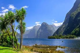Official web sites of new zealand, links and information on new zealand's art, culture, geography, history, travel and tourism, cities, the capital of new zealand. New Zealand Facts For Kids New Zealand Attraction Animals People